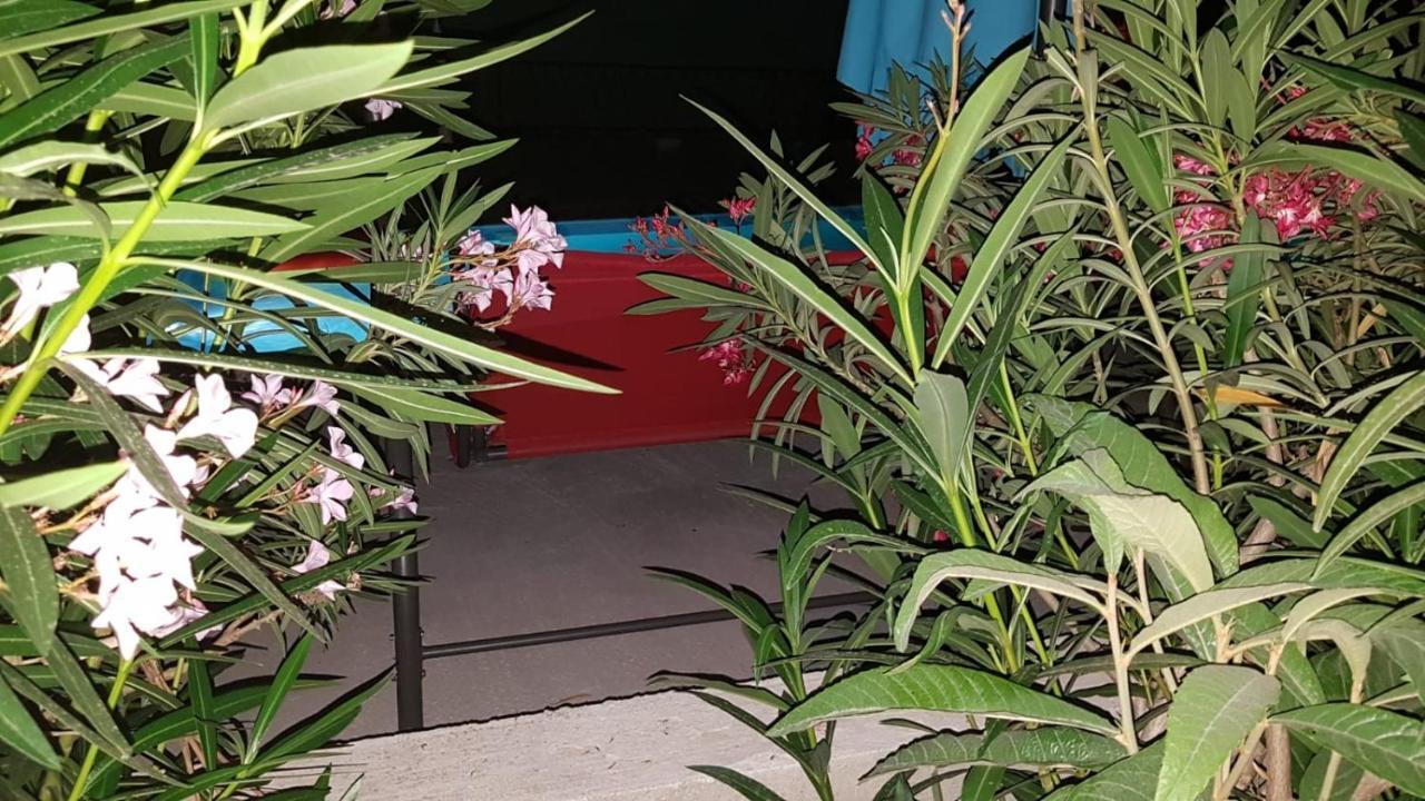 Apartments Star With Pool Biograd Na Moru Esterno foto